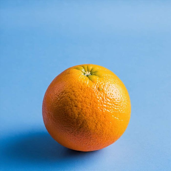 Couleurs Complémentaires de l'Orange : Guide Pratique